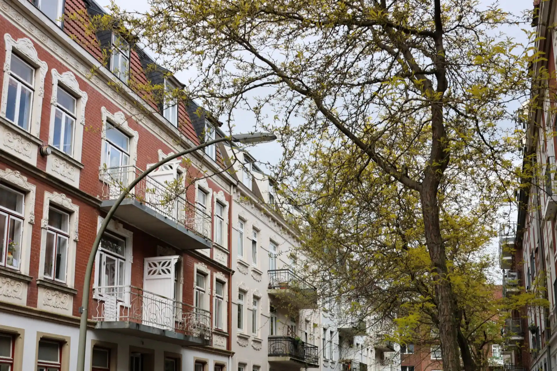 Straße mit hellen und roten Mehrfamilienhäusern aus der Gründerzeit, davor ein Baum im ersten Frühlingsgrün